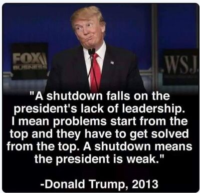 Shutdown falls on Trump
