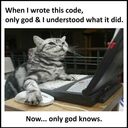 codegodandi.jpeg